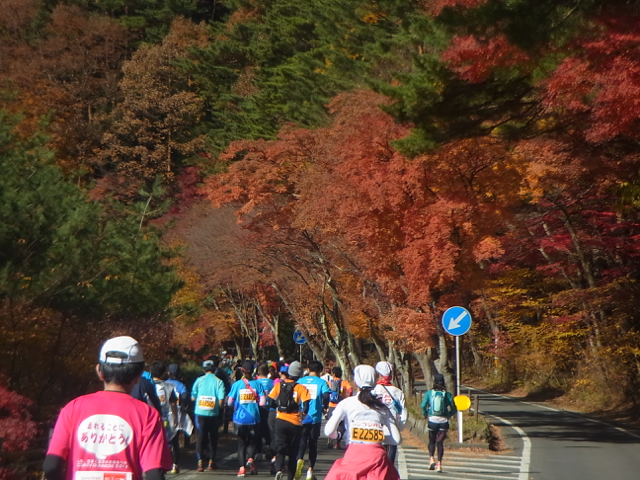 富士山マラソン2013